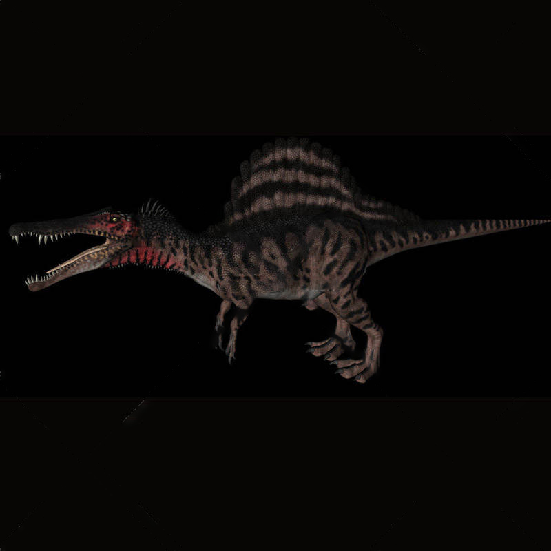 动物模型棘龙模型恐龙模型