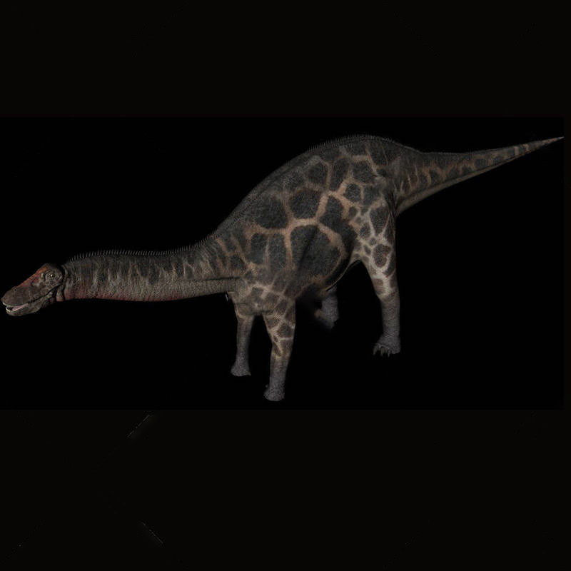 动物模型叉龙模型恐龙模型