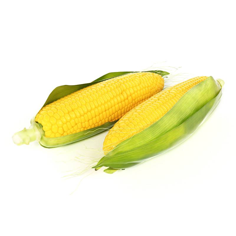 玉米蔬菜水果C4D模型