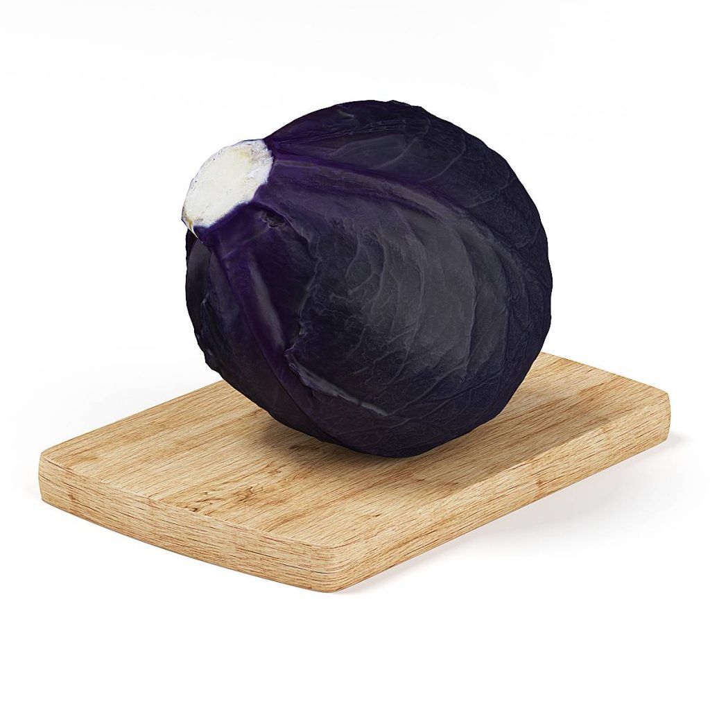 紫菜包食物C4D模型